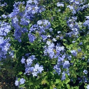 Meet your Posher, Mama